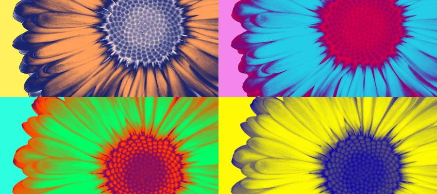 pop art flowers for warhol versus goldsmith copyright landscape